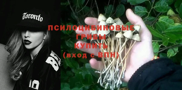 соль курить ск Алексин