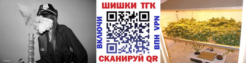 Конопля сатива  Карачаевск 